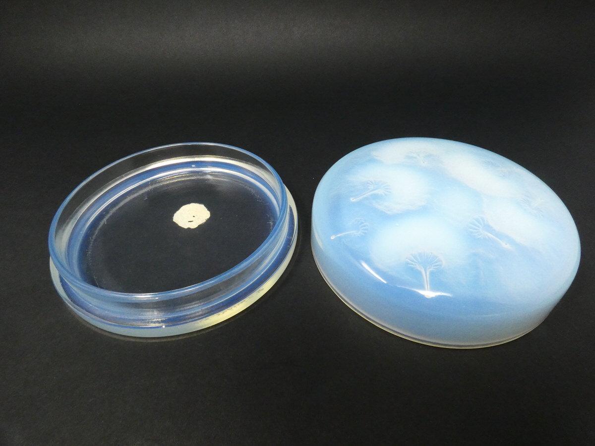Art Deco Rene Lalique Glass Opalescent 'Houppes' Box