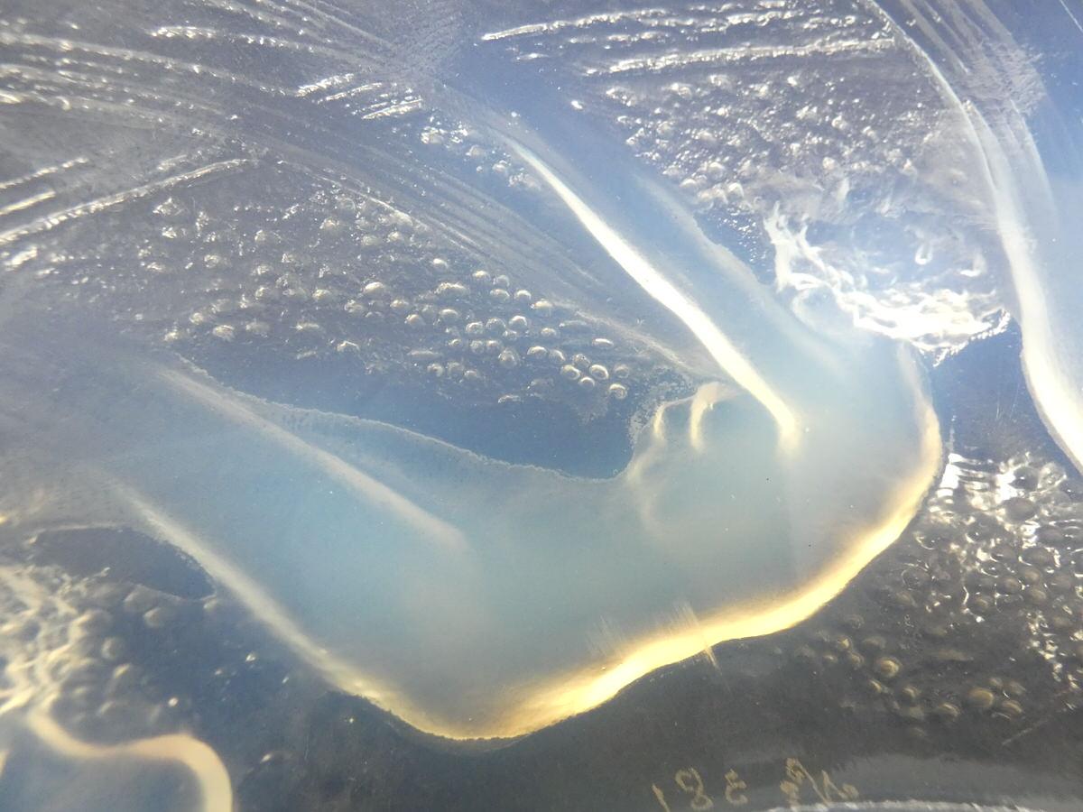 Rene Lalique Glass Opalescent Ondines Bowl 4