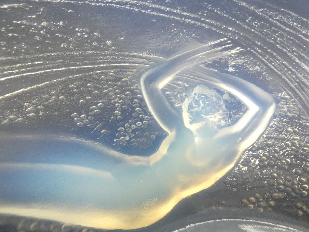 Rene Lalique Glass Opalescent Ondines Bowl 1