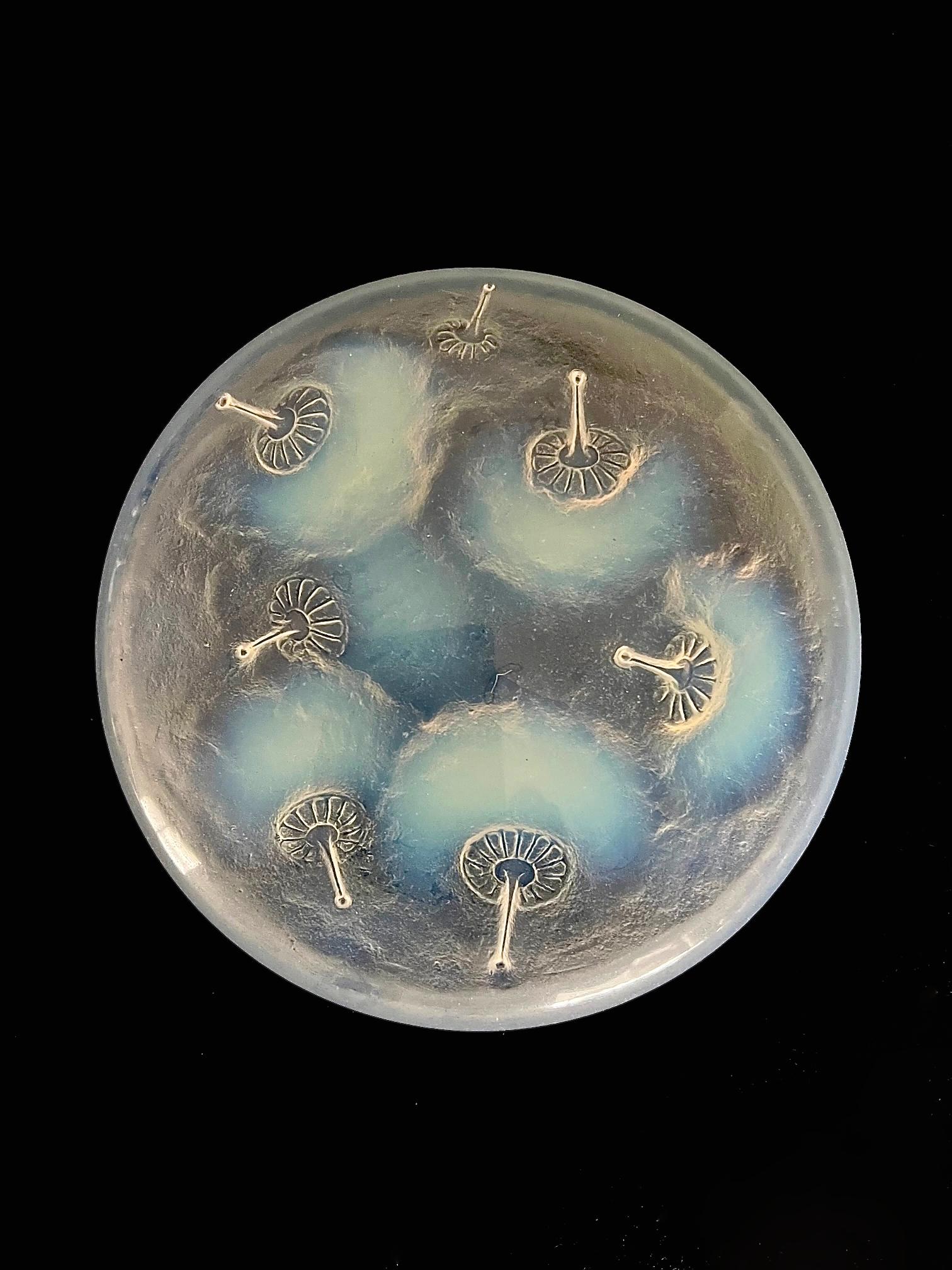 A René Lalique 'Houppes' Art Deco Opalescent glass powder box & cover moulded in relief on the underside of the lid with a design of swan-down powder puffs. 
Moulded mark 