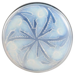 René Lalique Mesanges Box, Designed 1921
