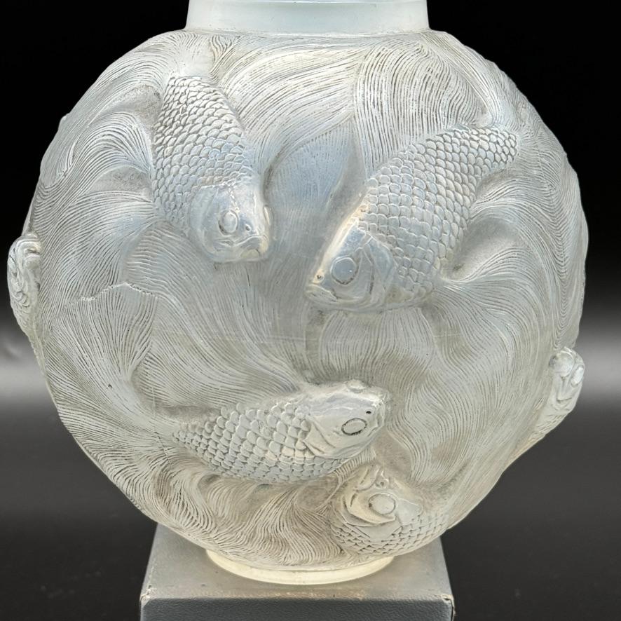 The Formose vase is one of the vases lalique created in many colors.

The vase was a big success as the study of the fishes swimming all around the vase's body are a real study of this particular fish.

The round shaped shape of the vase is very