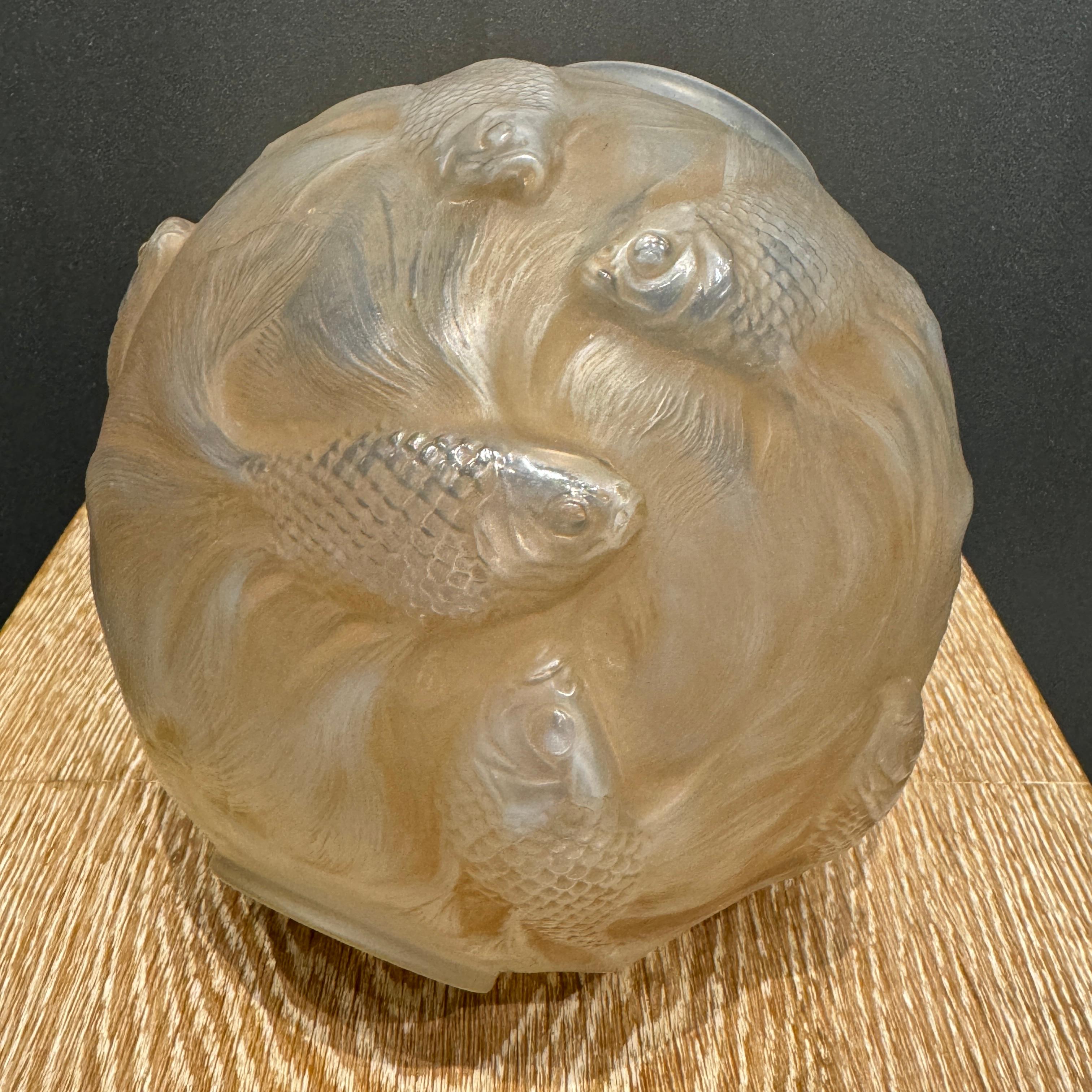 The Formose vase is one of the vases lalique created in many colors.

The vase was a big success as the study of the fishes swimming all around the vase's body are a real study of this particular fish.

The round shaped shape of the vase is very