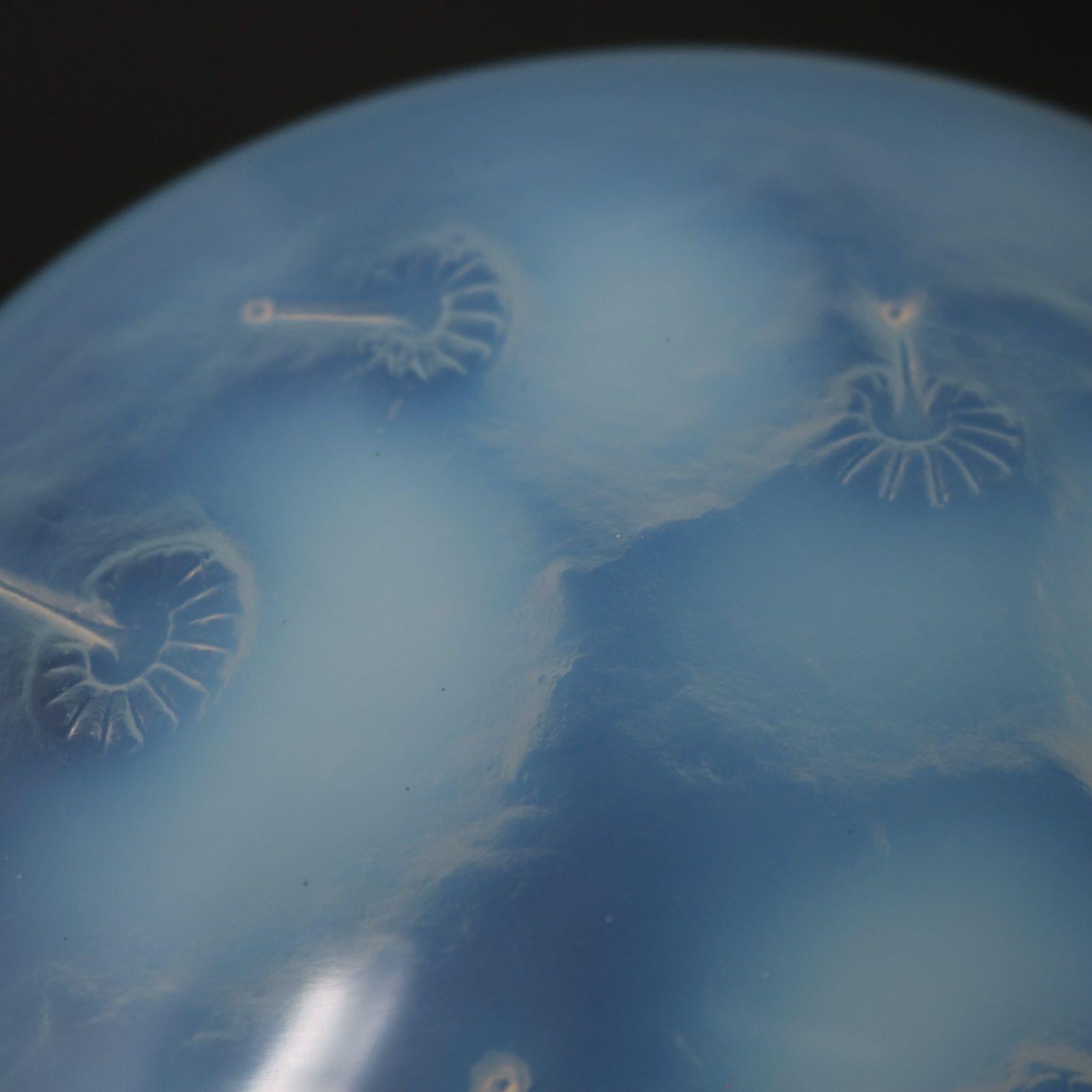 Scatola 'Houppes' in vetro opalescente di Rene Lalique in vendita 1