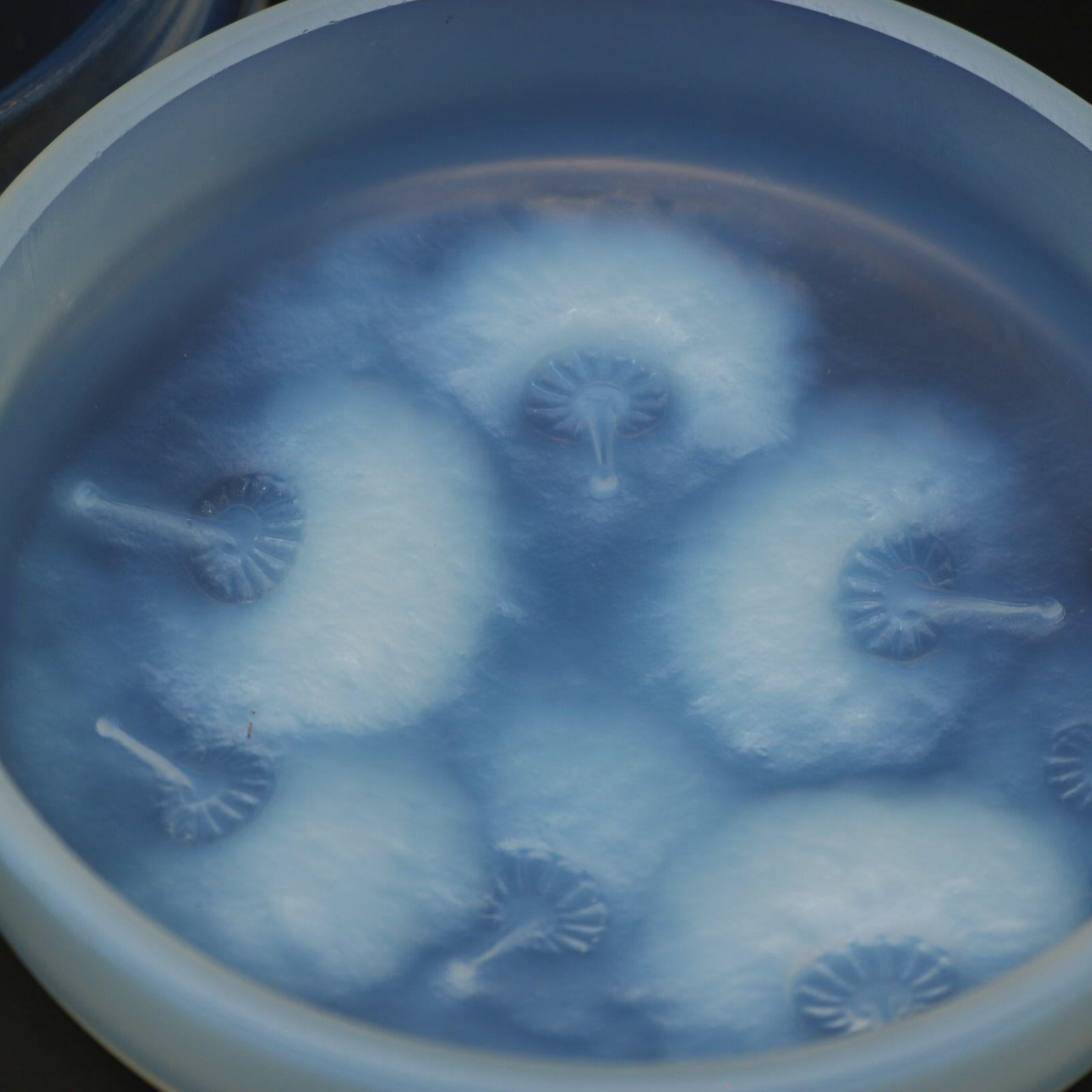 Scatola 'Houppes' in vetro opalescente di Rene Lalique in vendita 2