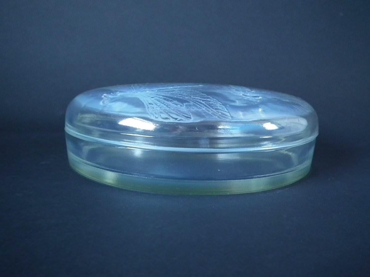 Rene Lalique opalescent glass 'Libellules' box. This pattern features dragonflies. Molded makers mark, 'R. LALIQUE ' to the lid. Book reference: Marcilhac 51.