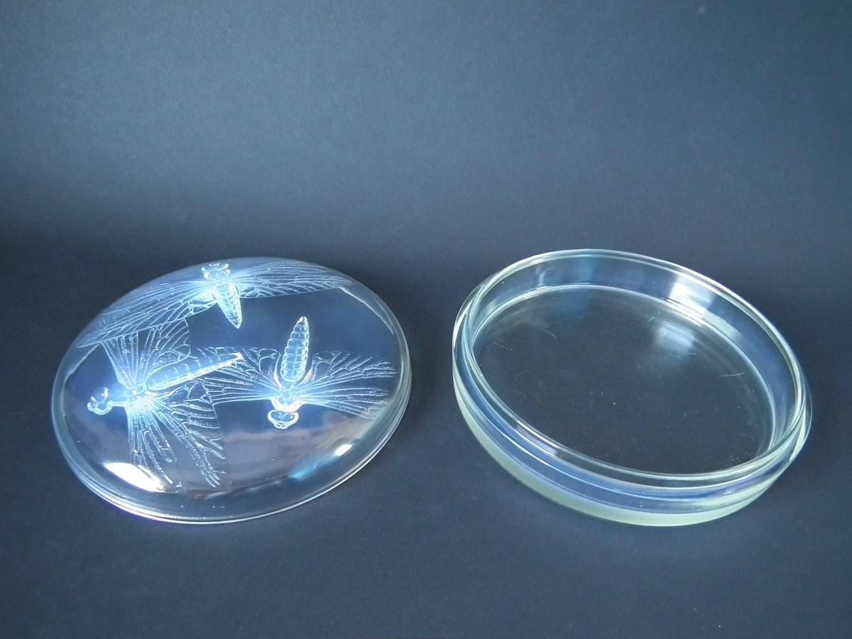 Rene Lalique Opalescent Glass 'Libellules' Box In Good Condition In Chelmsford, Essex