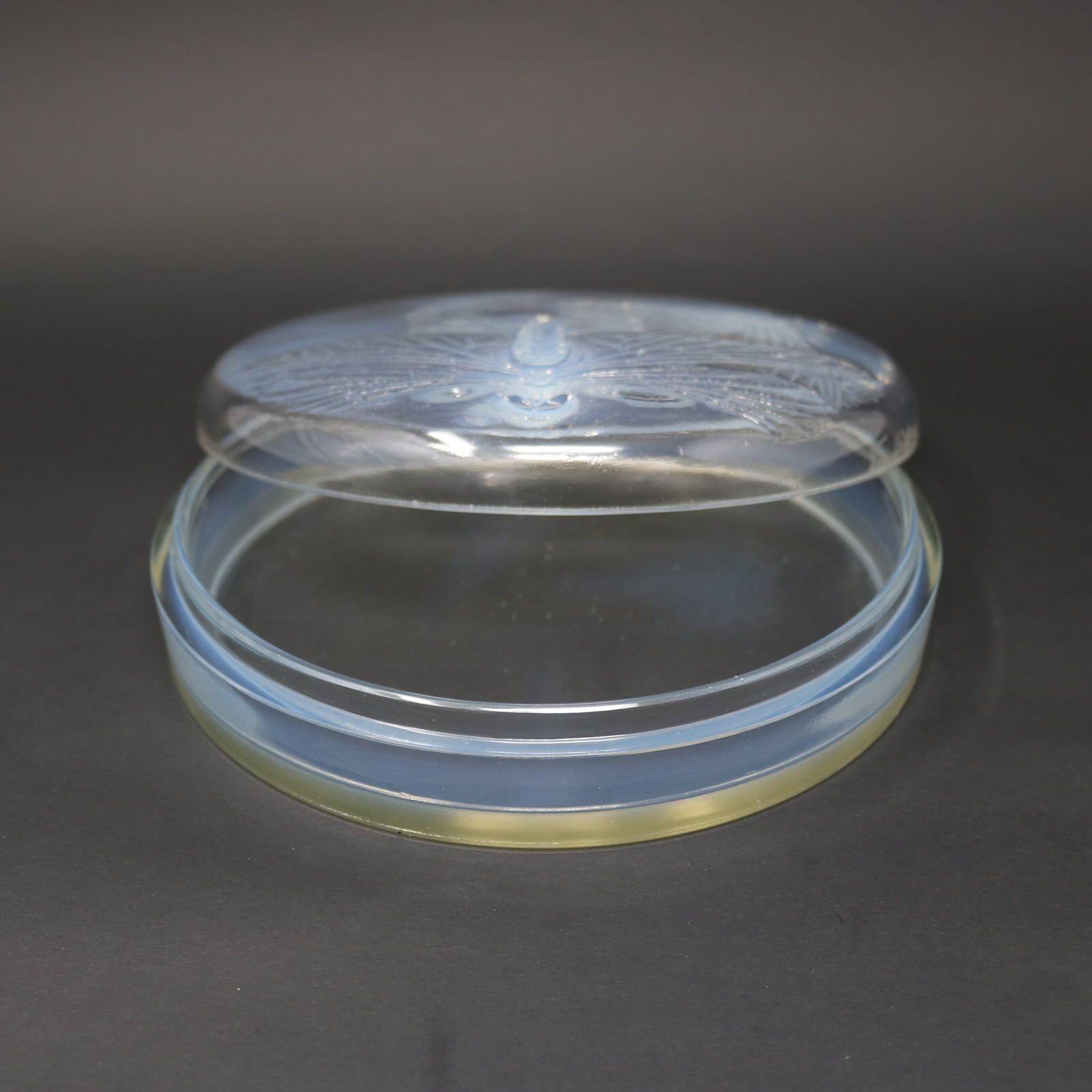 Rene Lalique Opalescent Glass 'Libellules' Box For Sale 2