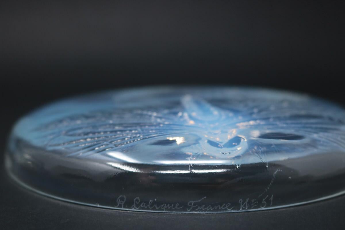 René Lalique Opalescent Glass 'Libellules' Box 2