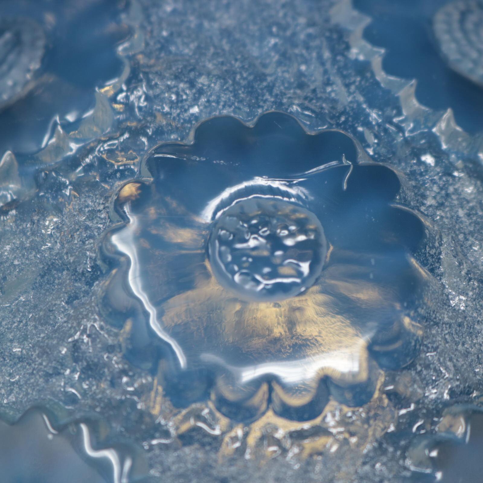 Vase « Paquerettes » en verre opalescent de Ren Lalique pour Daisies en vente 3