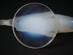 Rene Lalique Opalescent Glass 'Perche' Car Mascot