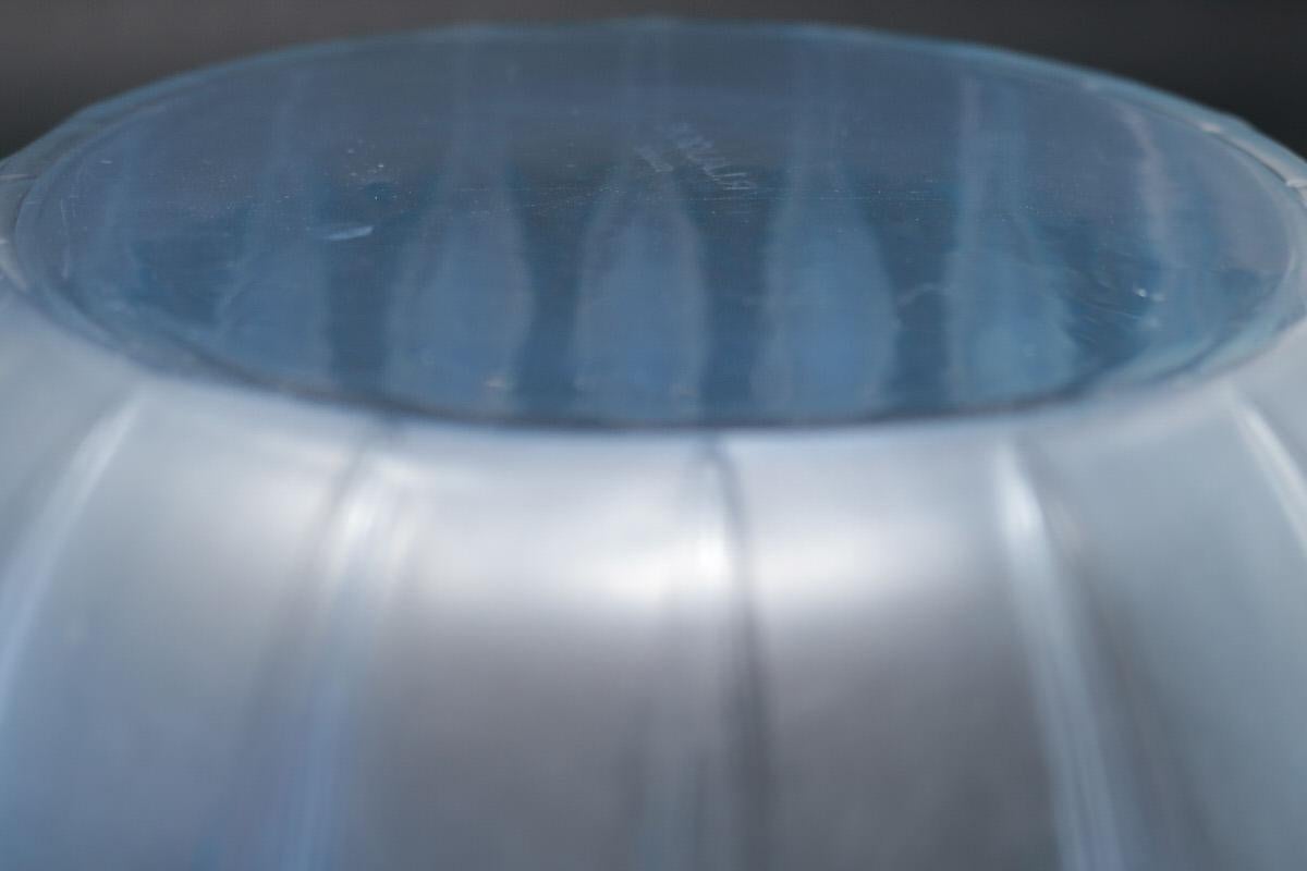 Rene Lalique Opalescent Glass 'Perruches' Bowl 3