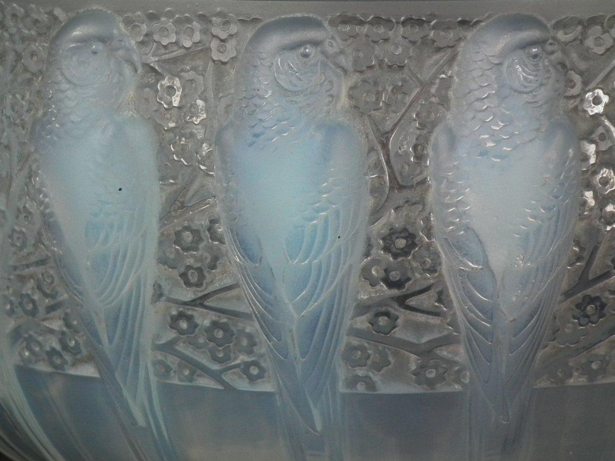 rene lalique parakeets bowl design