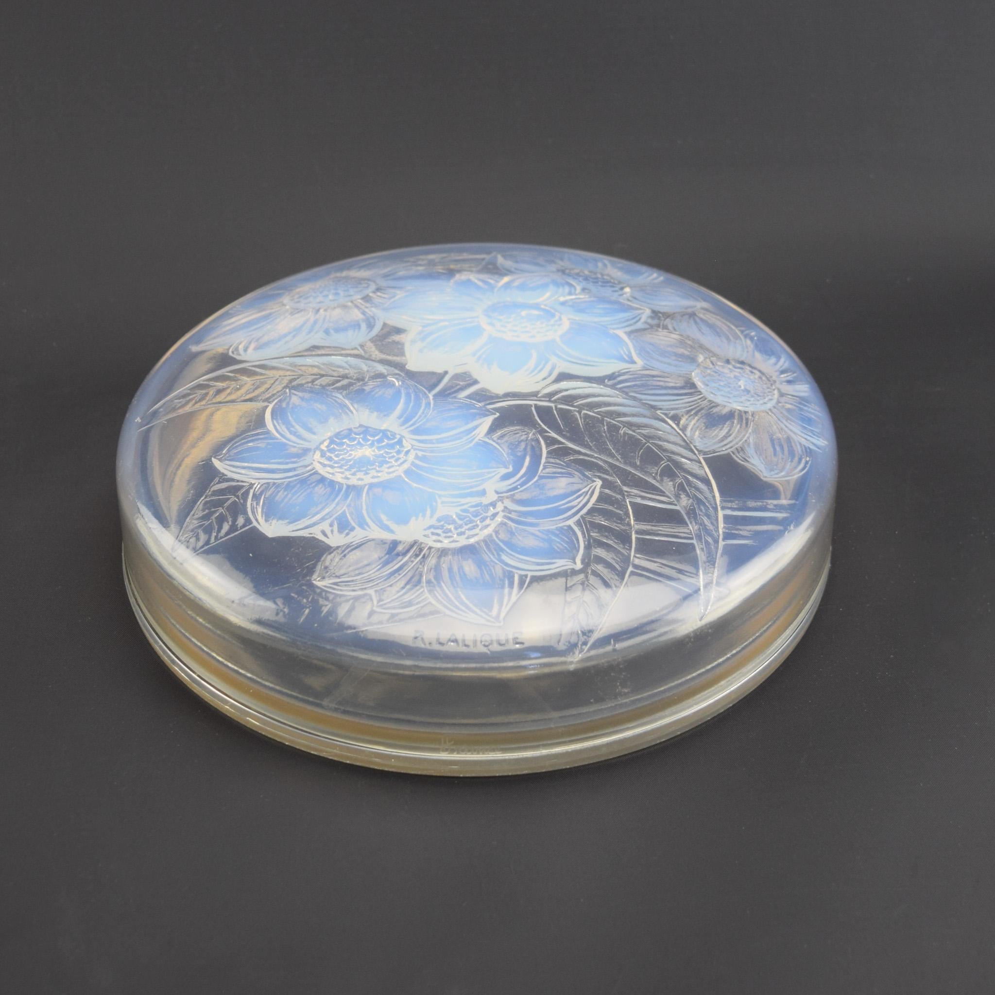 Rene Lalique scatola di sei Dalia in vetro opalescente
Esistono due scatole di dalia, una con 3 fiori (trois Dahlia) e questa versione che è la più difficile da trovare, presumibilmente ne sono state prodotte meno e quindi se ne trovano