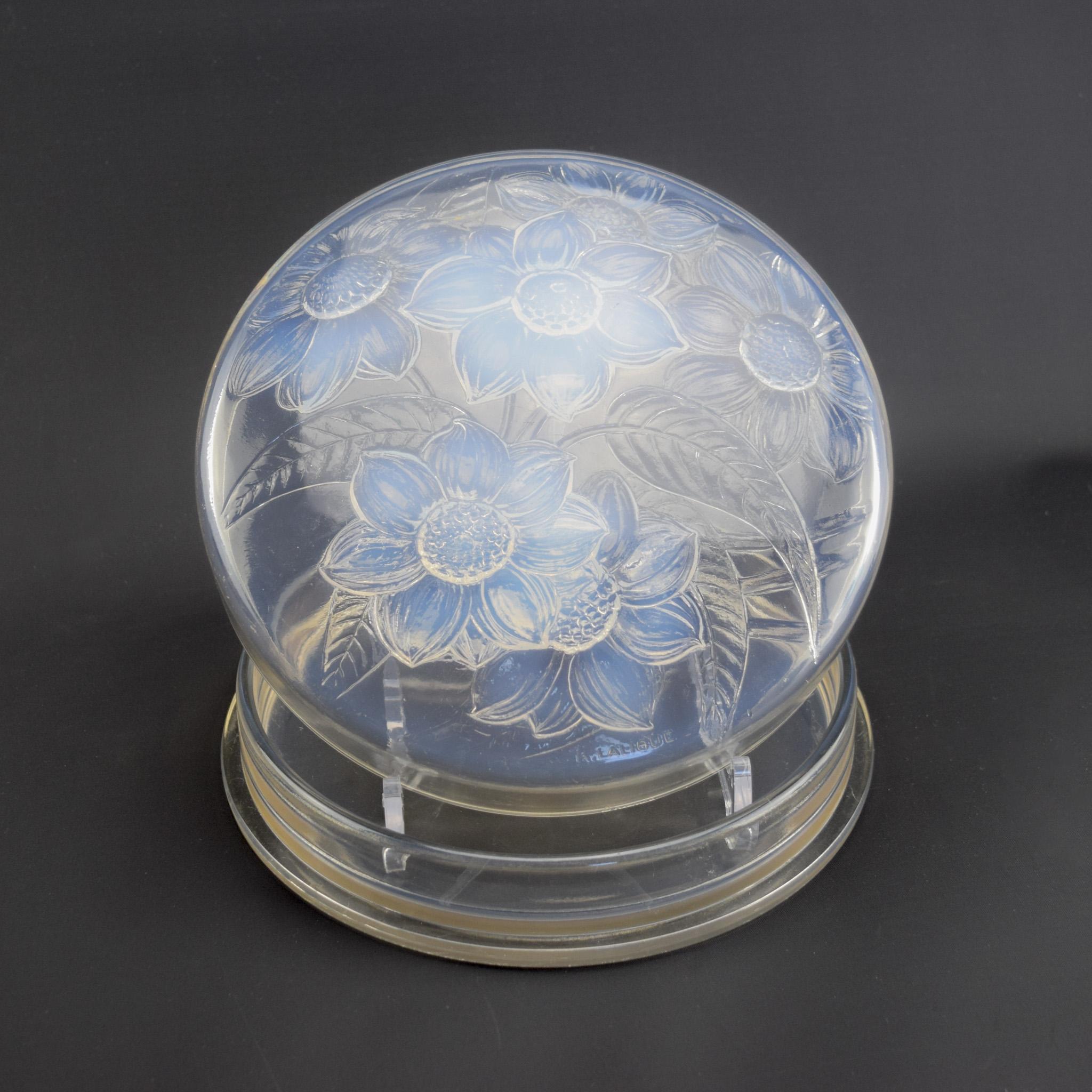 Art Déco Rene Lalique scatola Six Dahlia in vetro opalescente C1922 in vendita