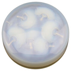 Caja Houppes opalescente René Lalique C1921