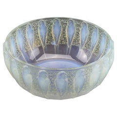 Ciotola Perruches opalescente Rene Lalique C1931