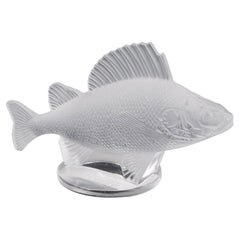 Used René Lalique Perche Fish Car Mascot