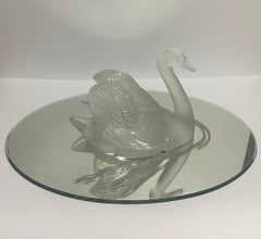 "Swan Heads up with Mirror"