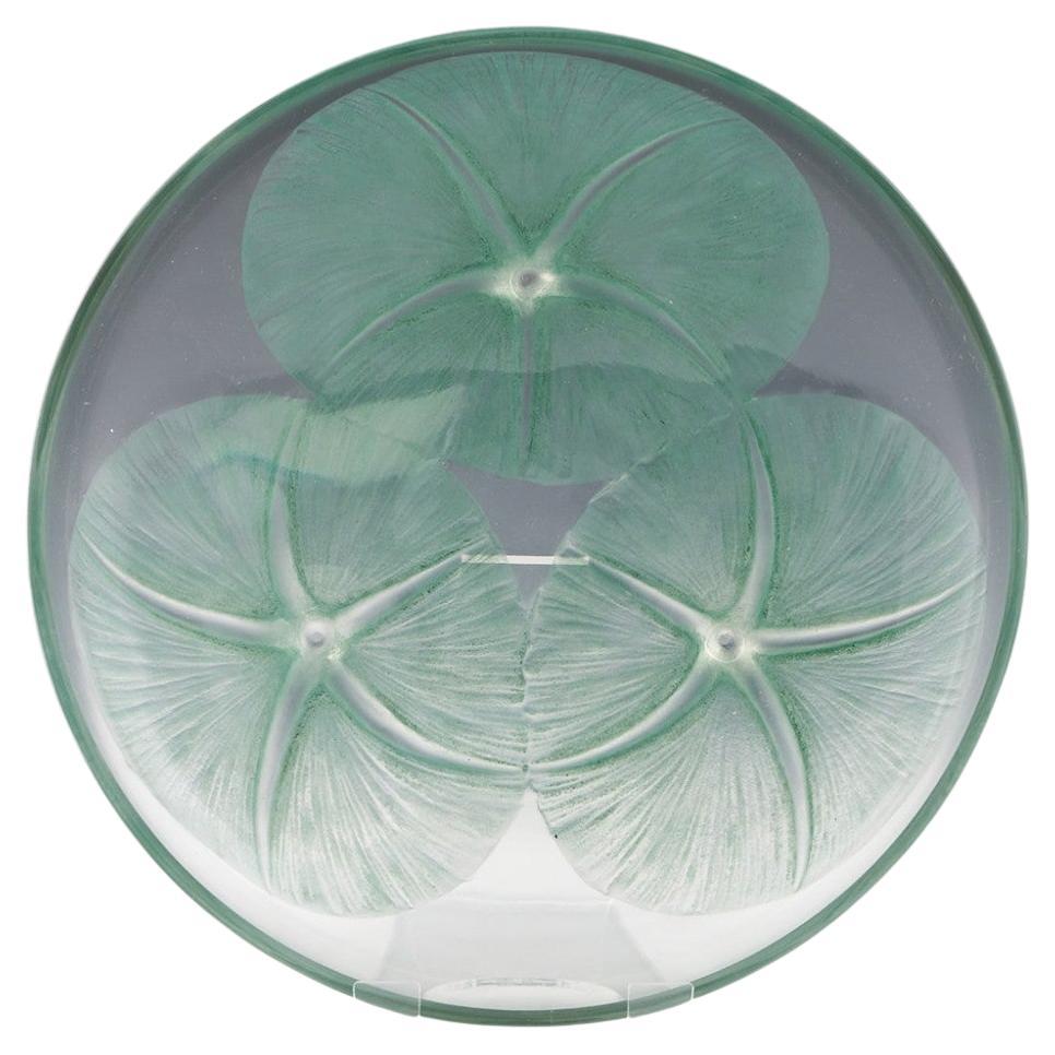 Rene Lalique Volubilis Pattern Coupe Designed 1921 Marcilhac 383