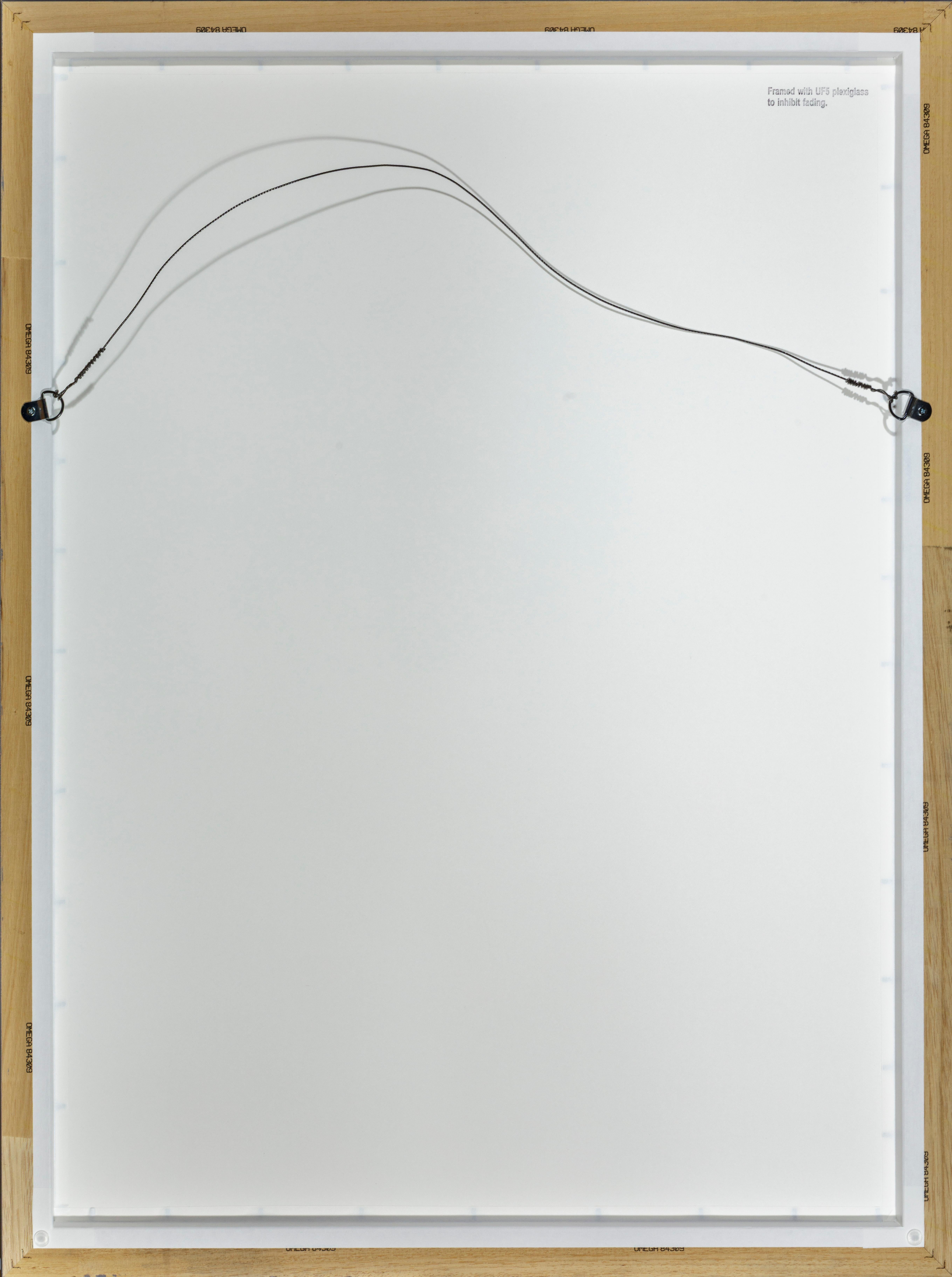 Le Château des Pyrénées (The Castle of the Pyrenees) For Sale 1