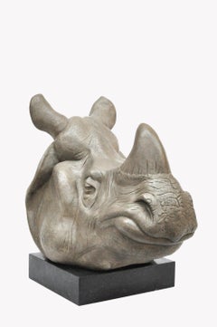 Boaz Indian Rhino Bronze Sculpture Rhinoceros Unicornis Animal 