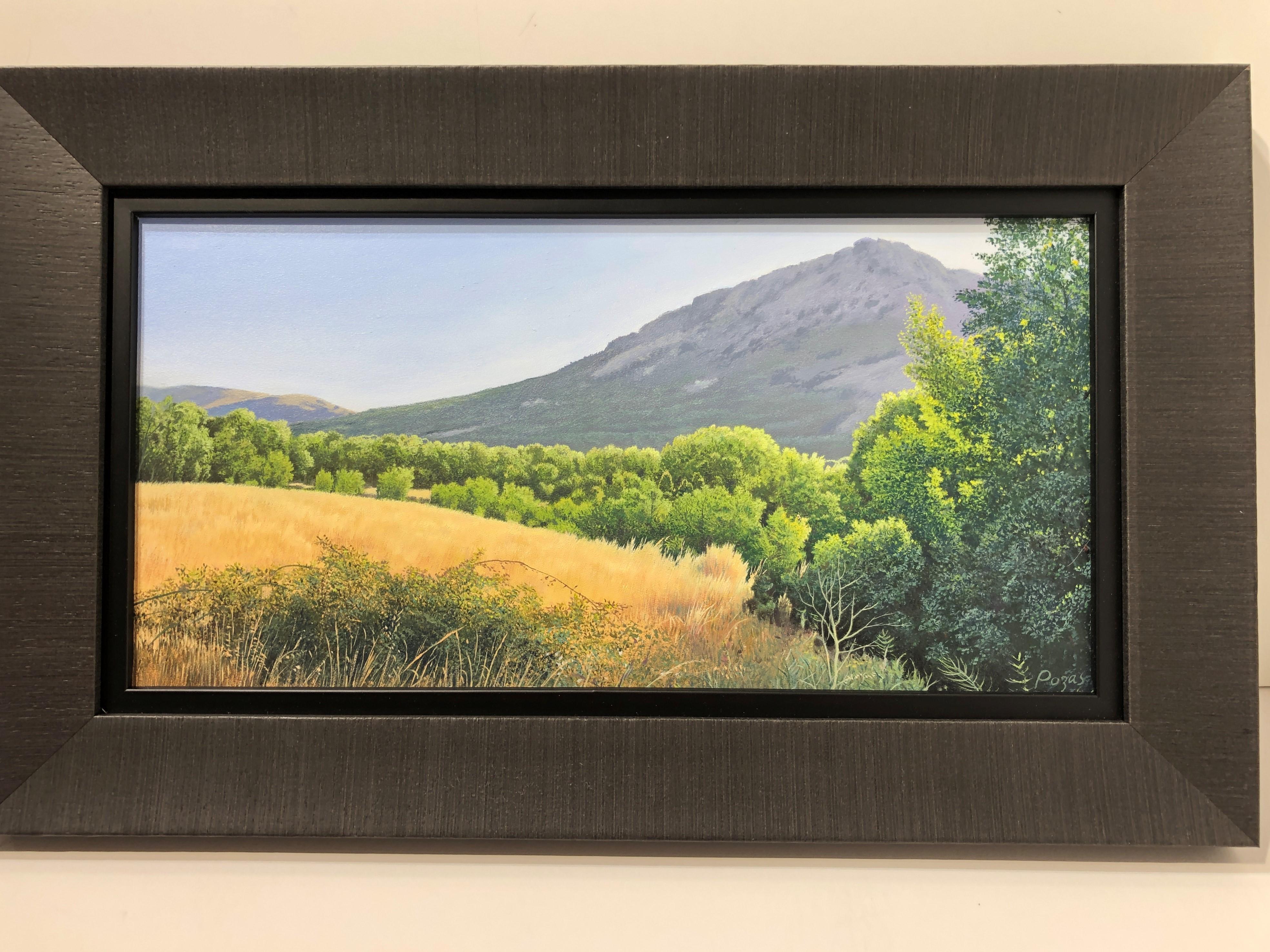 Eine Zeit lang, sehr detaillierte üppige Landschaft mit goldenem Feld und Berg, gerahmt – Painting von René Monzón Relova “Pozas”