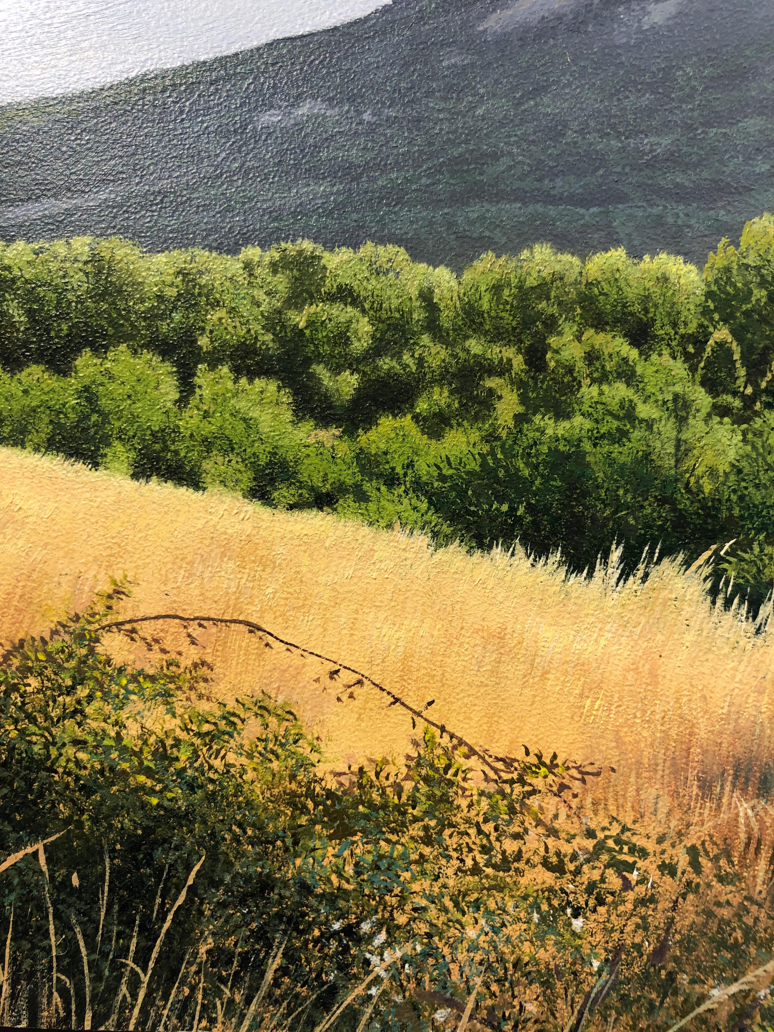 Eine Zeit lang, sehr detaillierte üppige Landschaft mit goldenem Feld und Berg, gerahmt (Grau), Landscape Painting, von René Monzón Relova “Pozas”