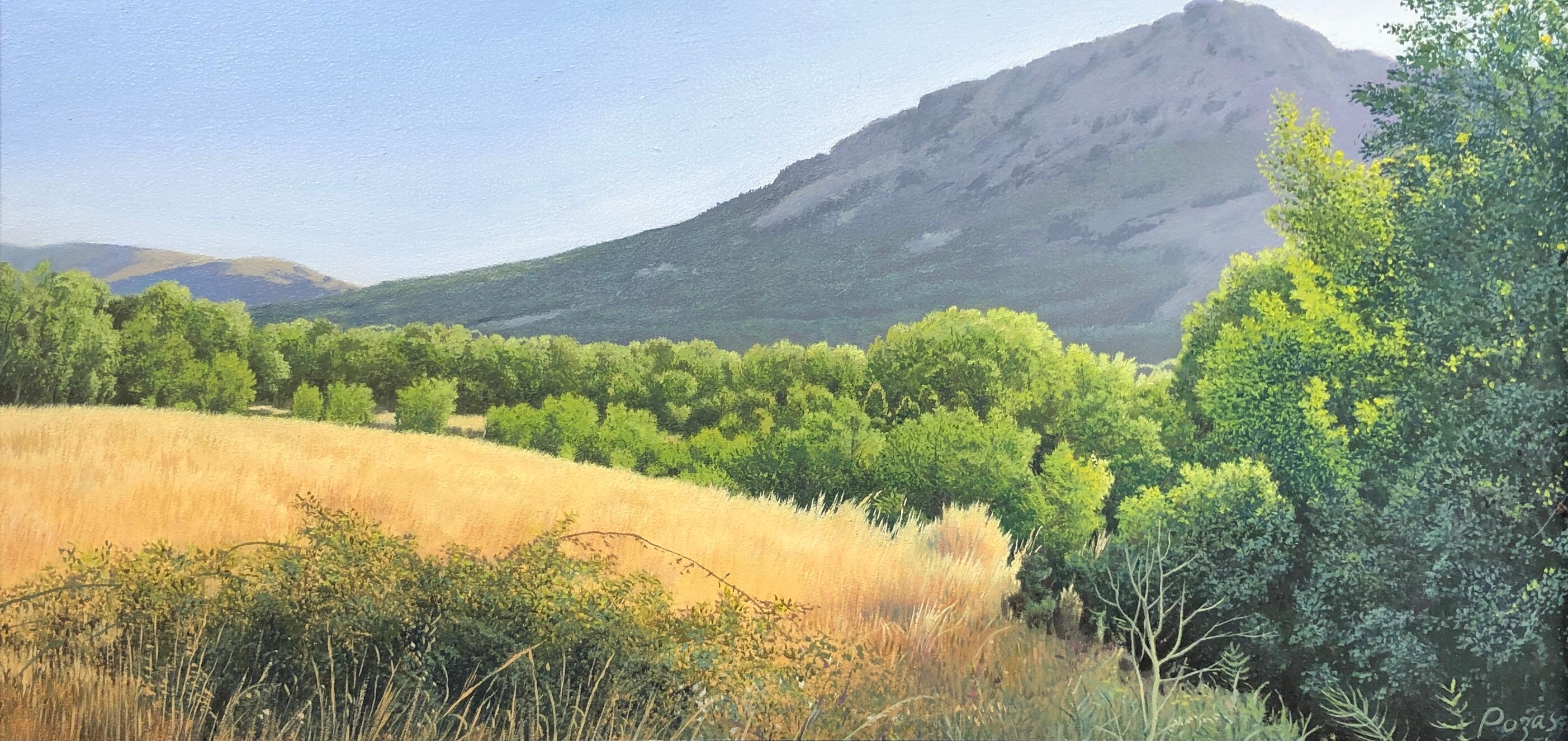 René Monzón Relova “Pozas” Landscape Painting – Eine Zeit lang, sehr detaillierte üppige Landschaft mit goldenem Feld und Berg, gerahmt