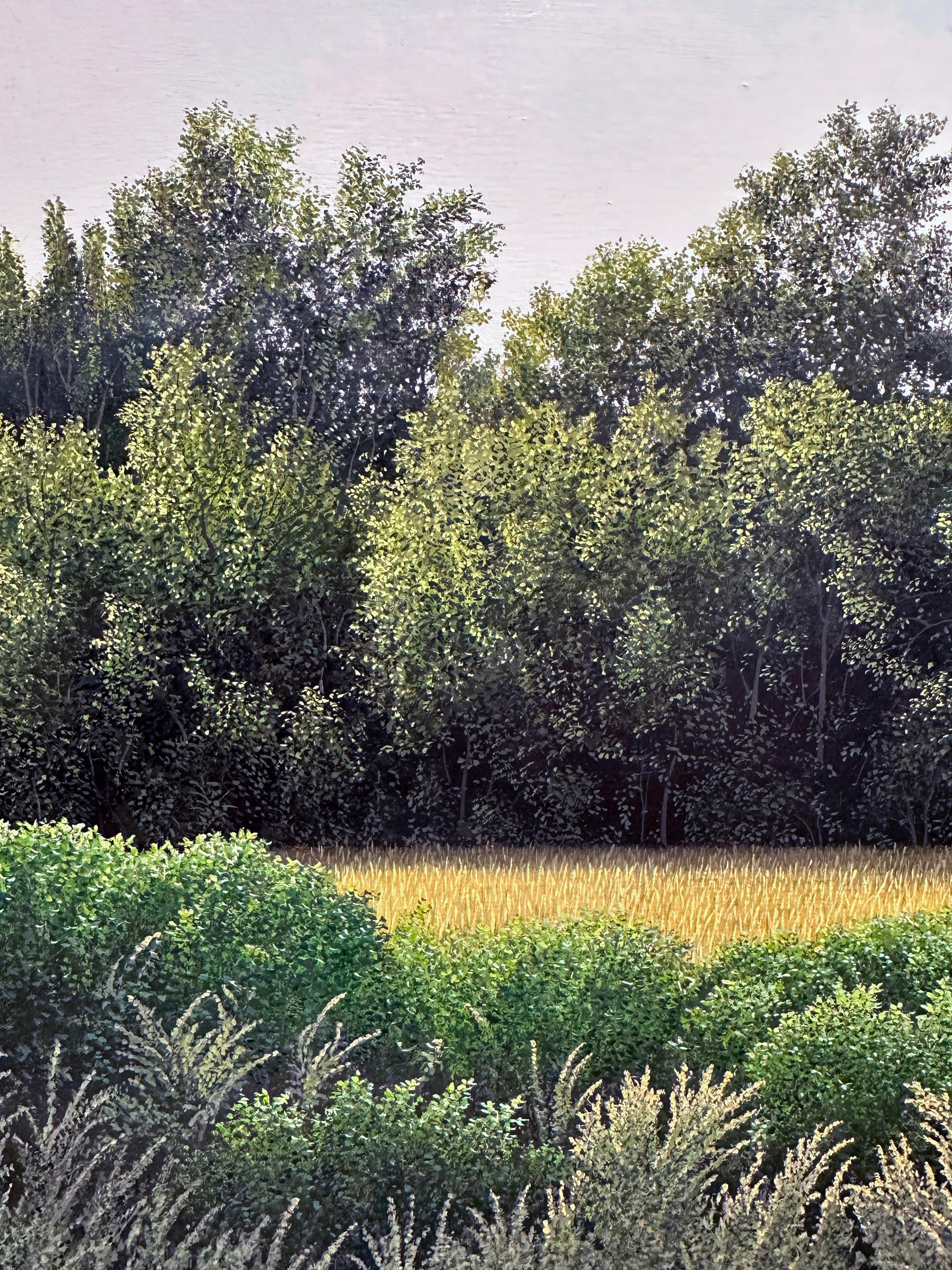 El Viejo Afortunado - Highly Detailed Lush Landscape, Golden Field & Dense Green 4