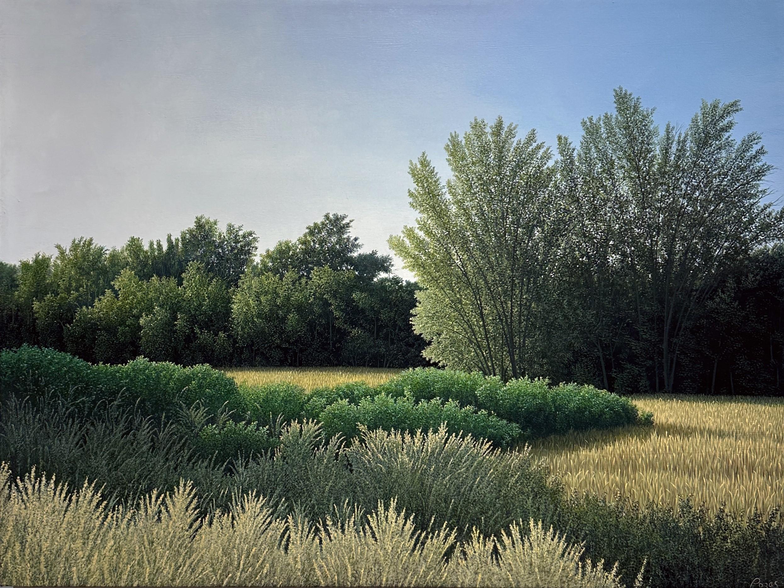 René Monzón Relova “Pozas” Landscape Painting - El Viejo Afortunado - Highly Detailed Lush Landscape, Golden Field & Dense Green