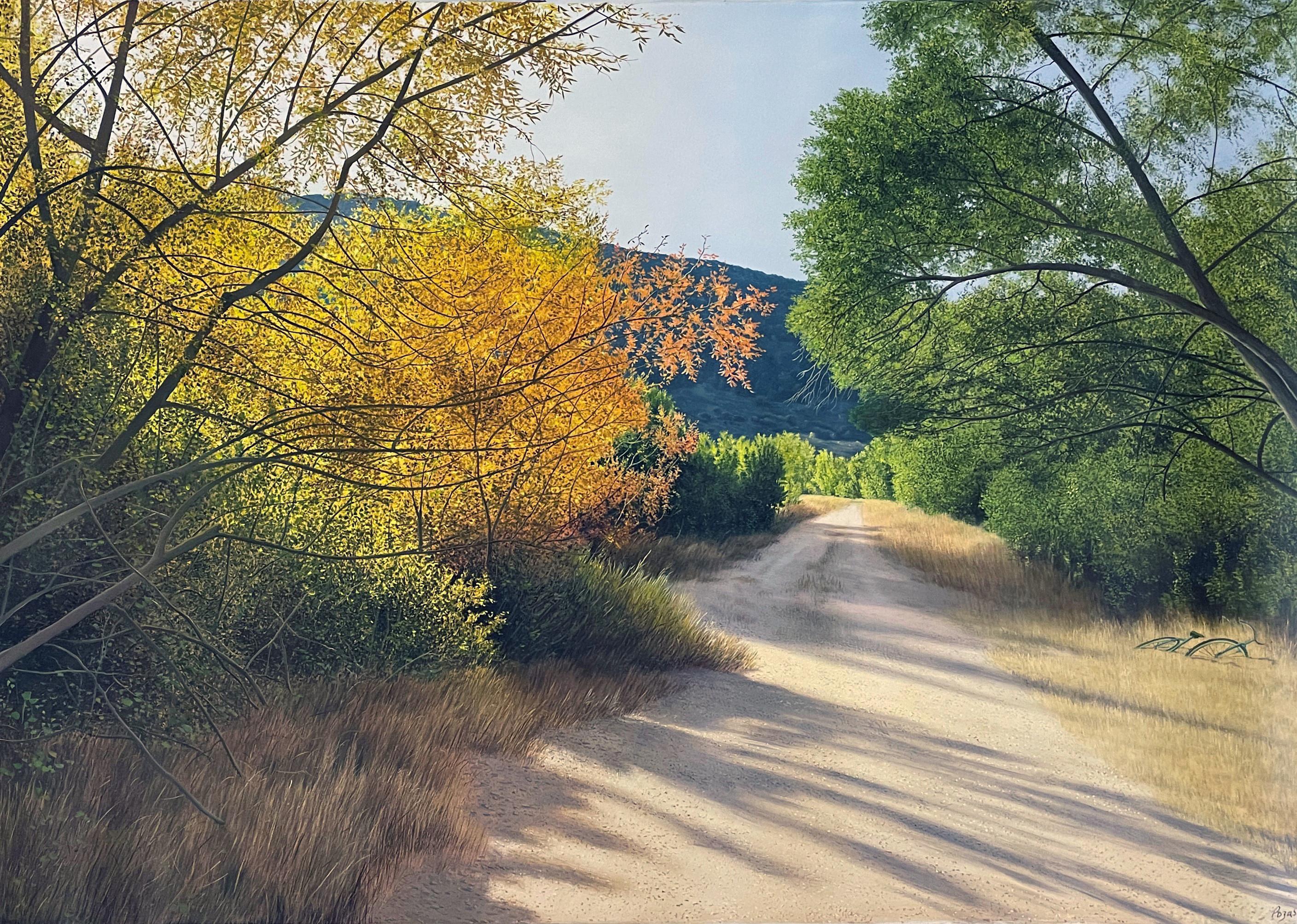 René Monzón Relova “Pozas” Landscape Painting – Helle Schatten, detailreiche, üppige Landschaft, verwüstete Straße, appliziertes Sonnenlicht