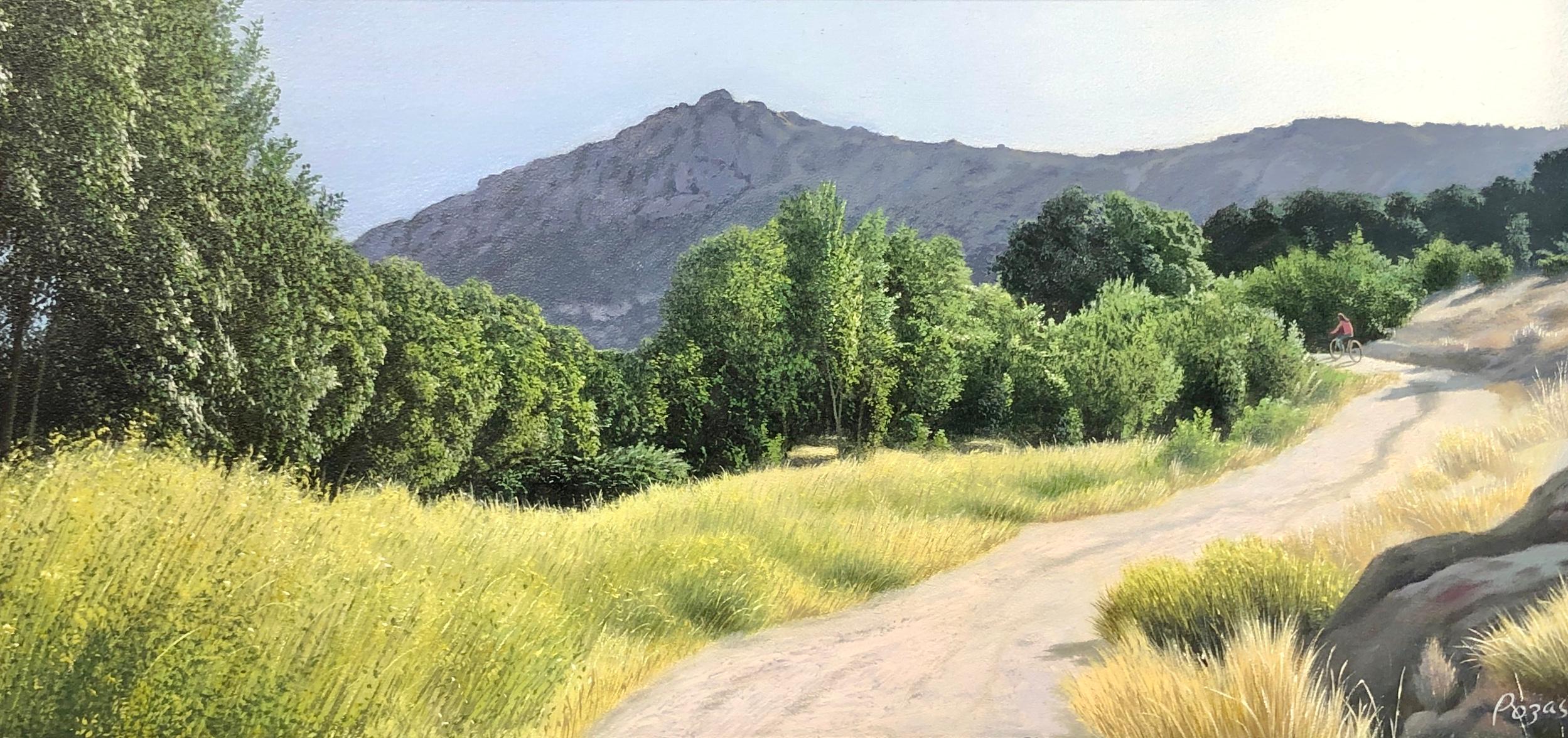 Landscape Painting René Monzón Relova “Pozas” -  Mon espace - Paysage très détaillé avec un chemin menant à des bois denses, encadré
