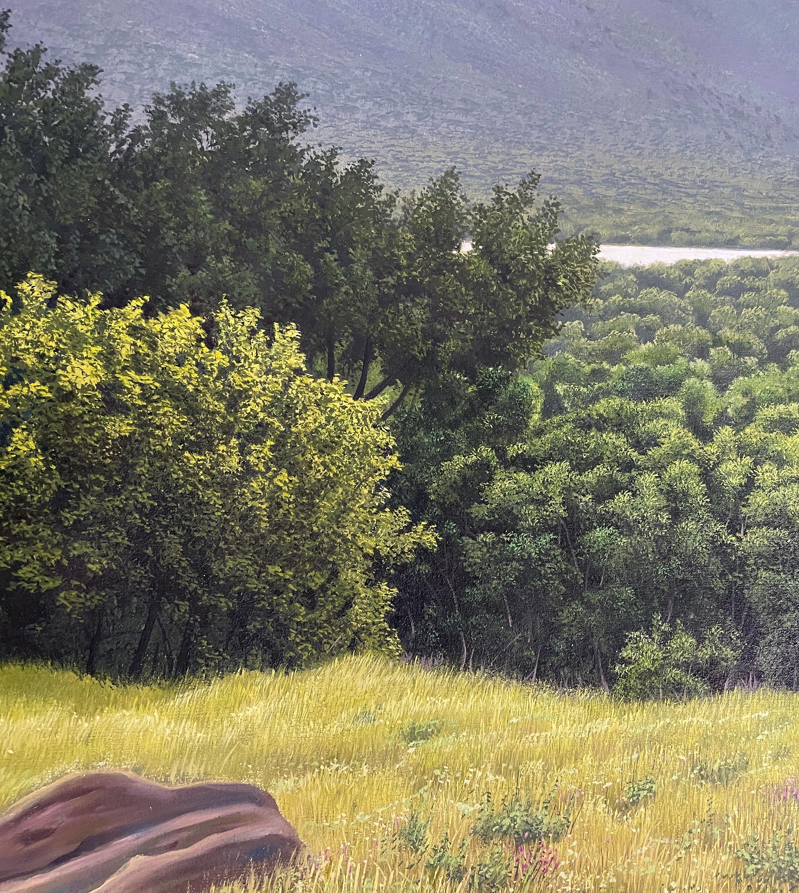 Unvorhersehbares Tal - Sehr detaillierte üppige Landschaft, Golden Field & Mountains (Zeitgenössisch), Painting, von René Monzón Relova “Pozas”