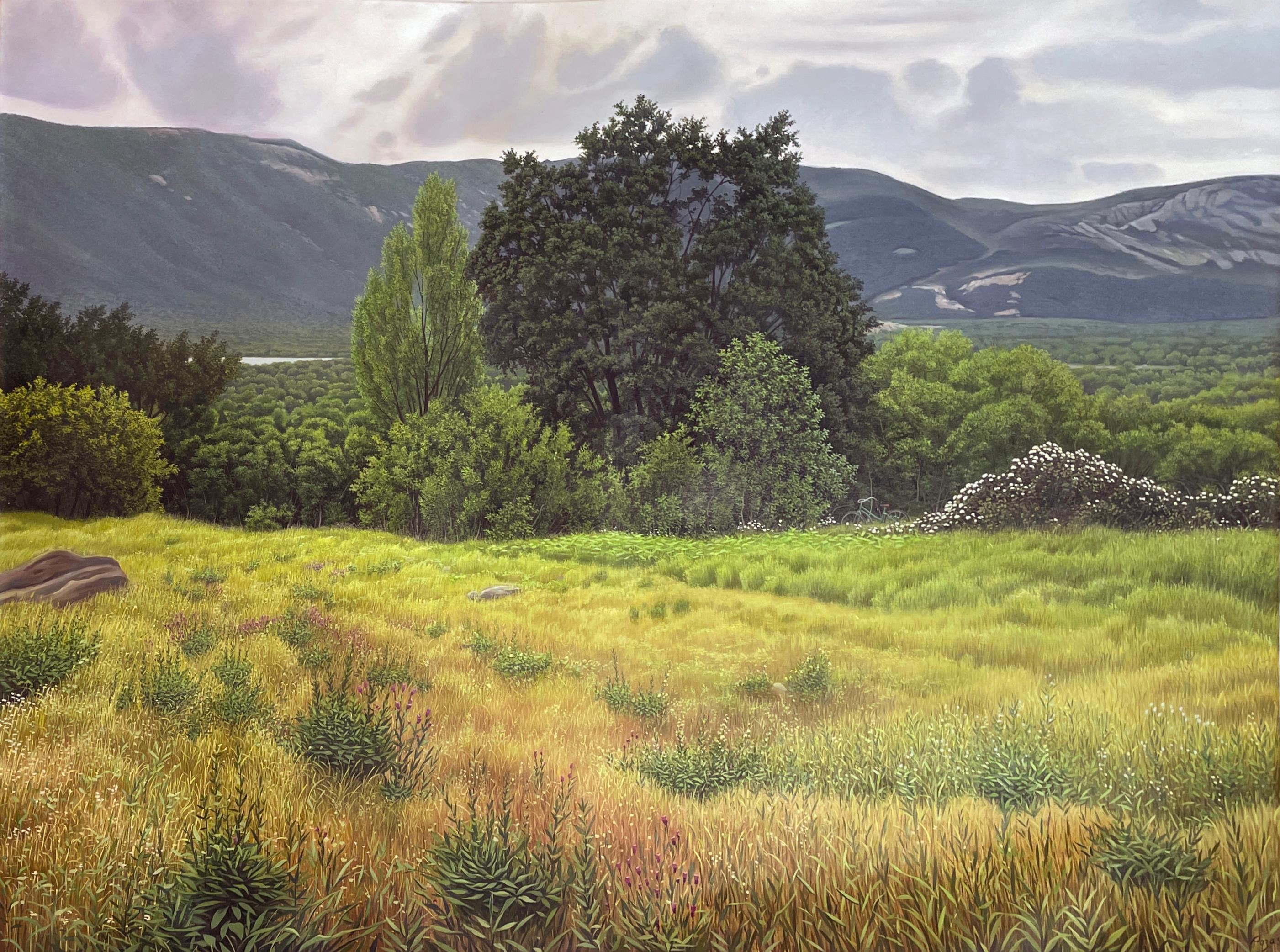 Unvorhersehbares Tal - Sehr detaillierte üppige Landschaft, Golden Field & Mountains im Angebot 4