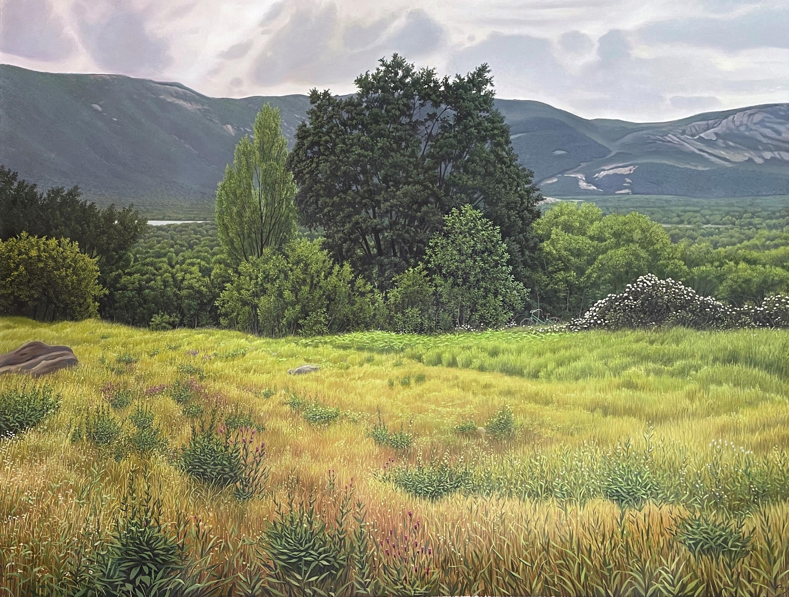 René Monzón Relova “Pozas” Landscape Painting – Unvorhersehbares Tal - Sehr detaillierte üppige Landschaft, Golden Field & Mountains