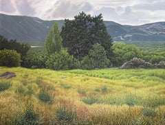 Valley imprévisible - Paysage luxuriant aux détails élevés, Golden Field & Mountains