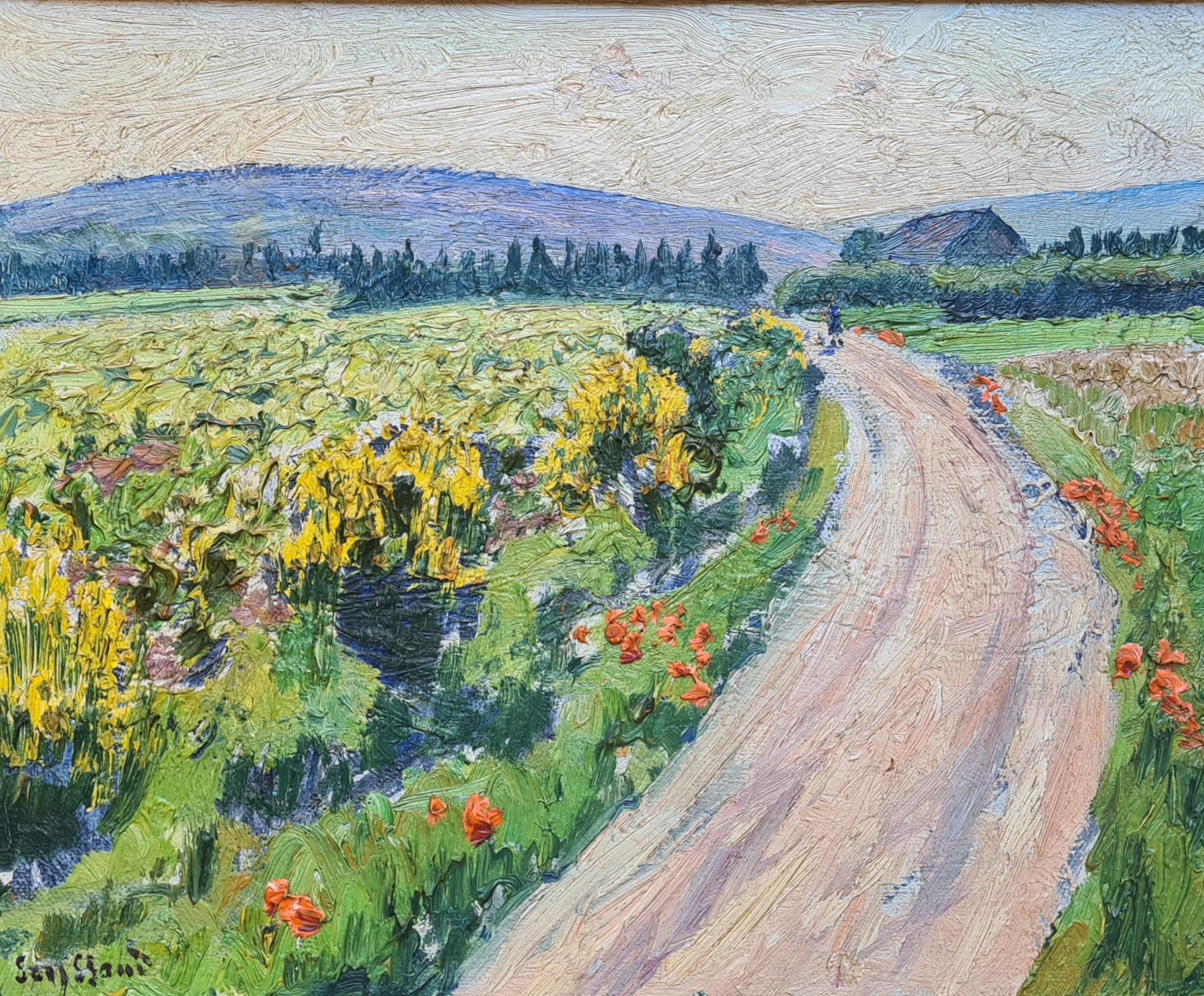 Fauvist Öl auf Leinwand Französische ländliche Landschaft mit Mohnblumen, The Luberon – Painting von René Seyssaud