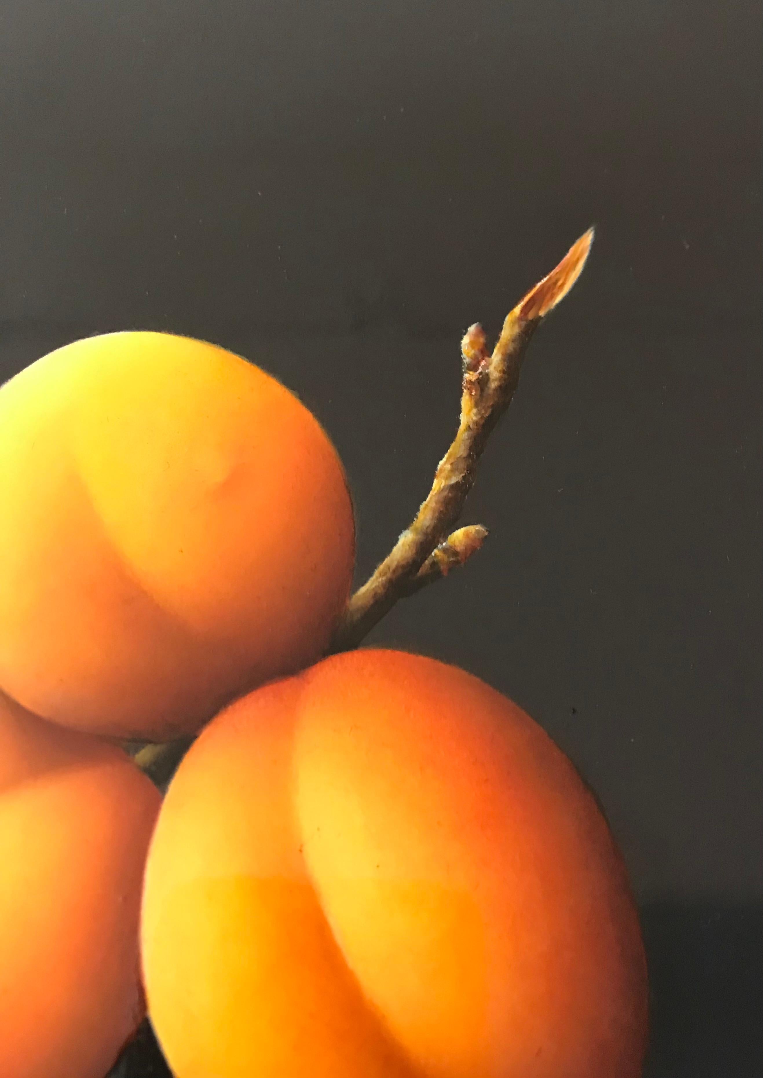 “Apricots” Contemporary Fine Realist Still-Life Painting of Apricots, Fruit - Black Figurative Painting by René Smoorenburg 