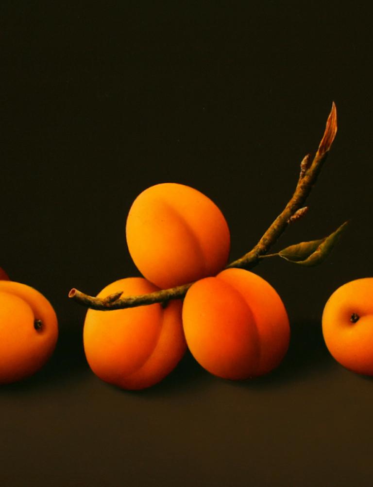 “Apricots” Contemporary Fine Realist Still-Life Painting of Apricots, Fruit - Black Figurative Painting by René Smoorenburg 
