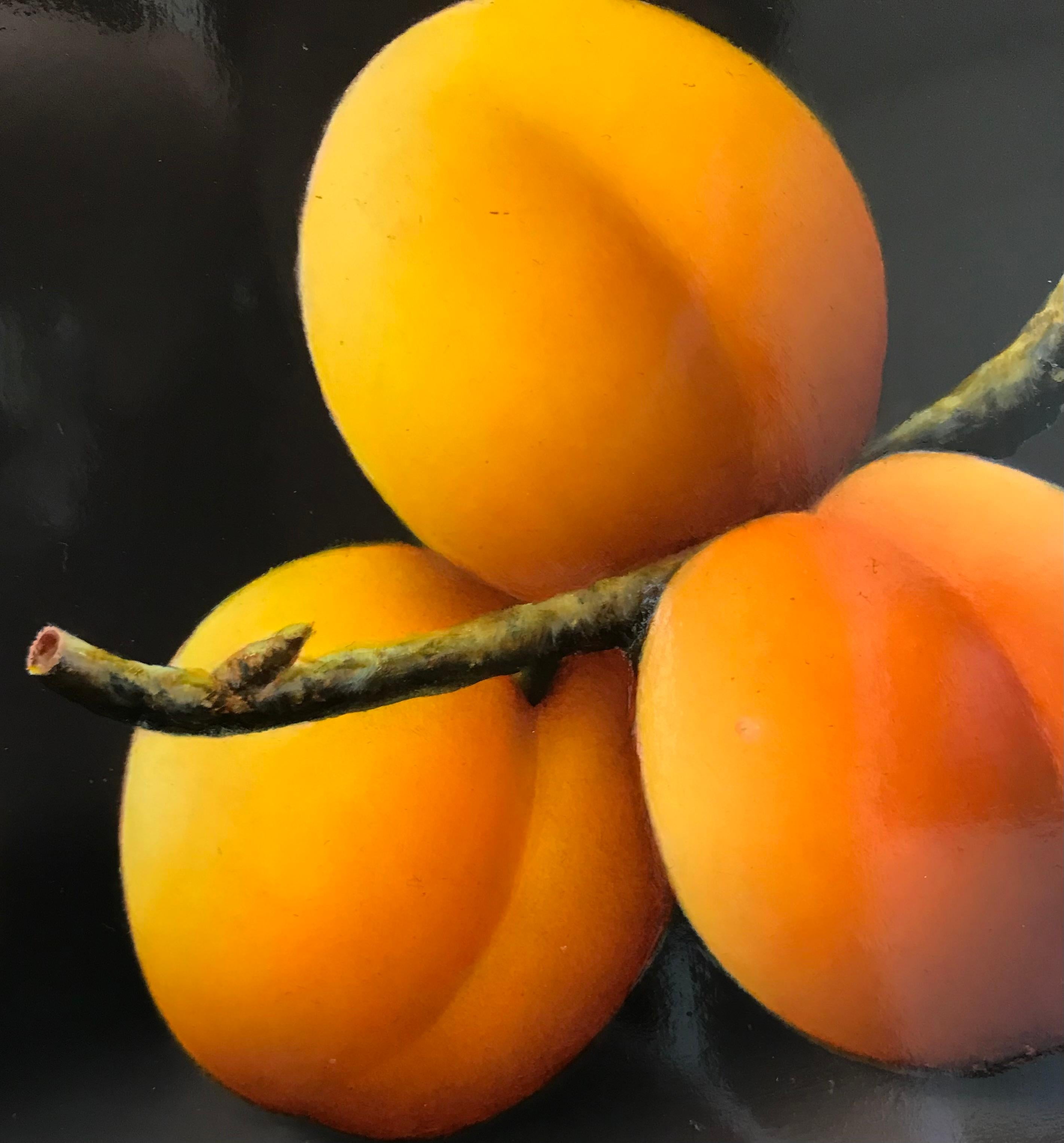 Aprikosen Contemporary Fine Realist Still-Life Painting von Aprikosen, Obst 1
