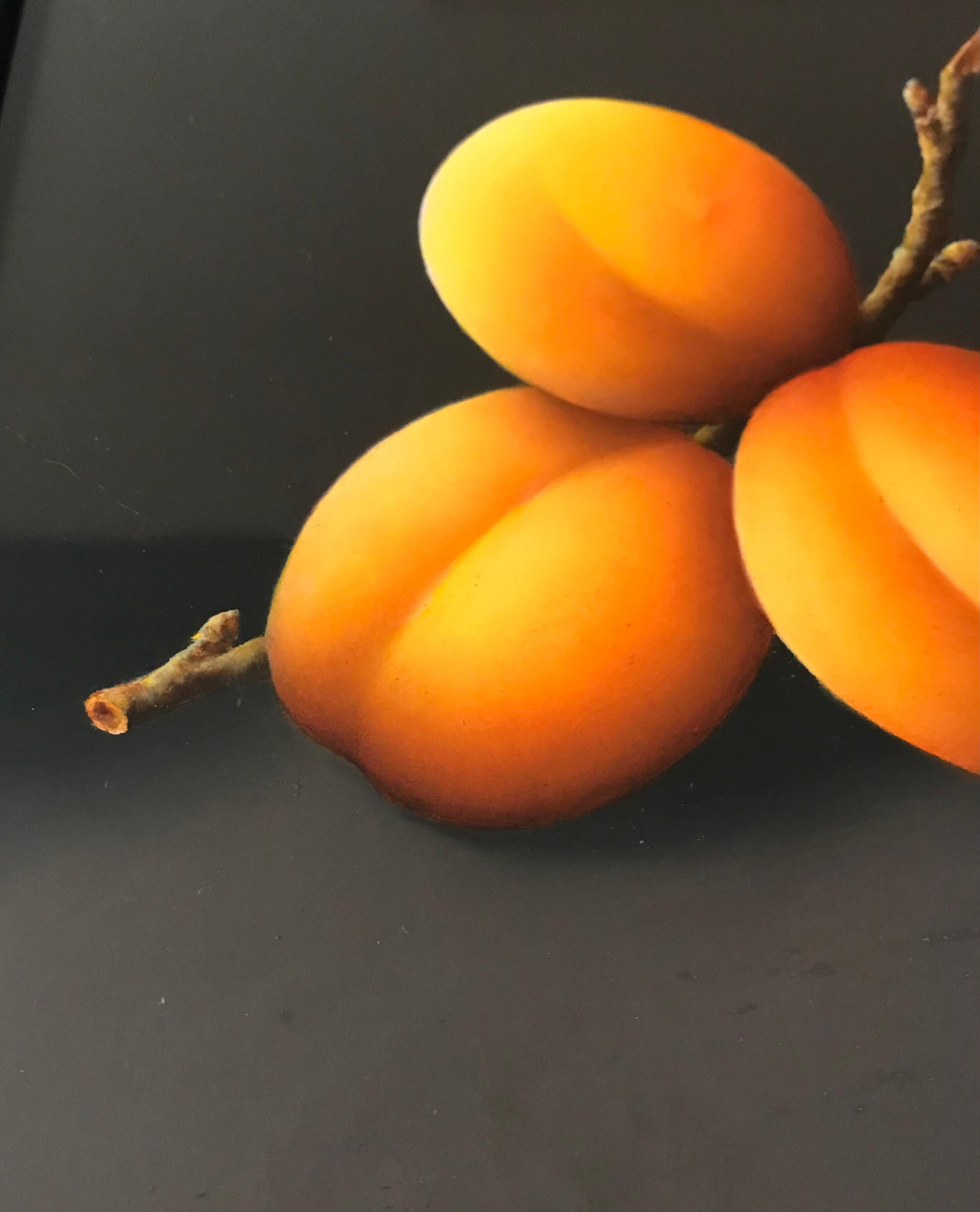 “Apricots” Contemporary Fine Realist Still-Life Painting of Apricots, Fruit 1
