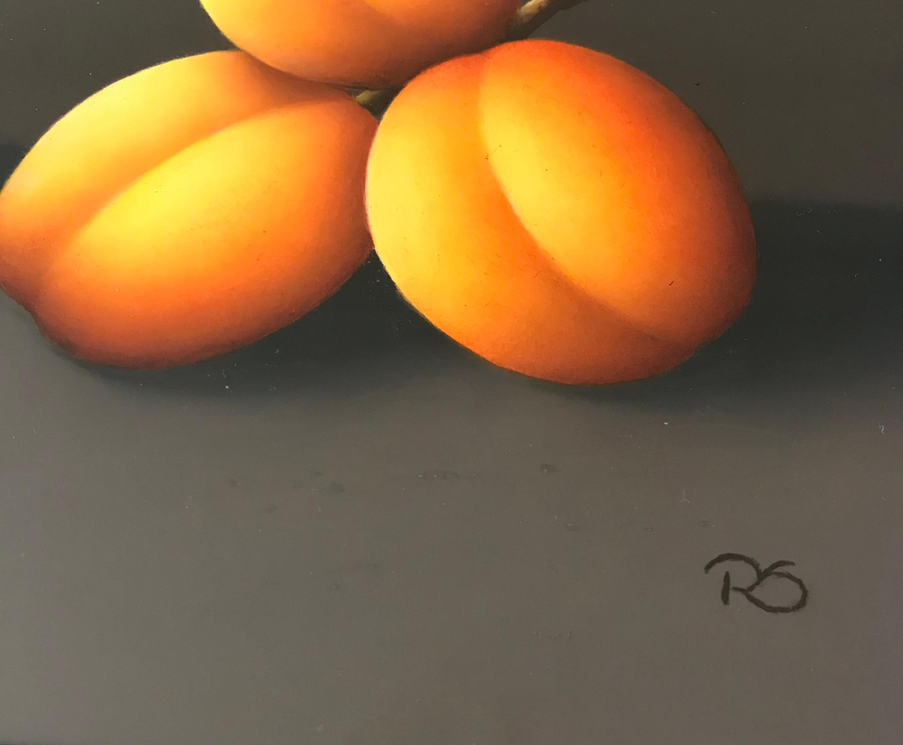 “Apricots” Contemporary Fine Realist Still-Life Painting of Apricots, Fruit 3