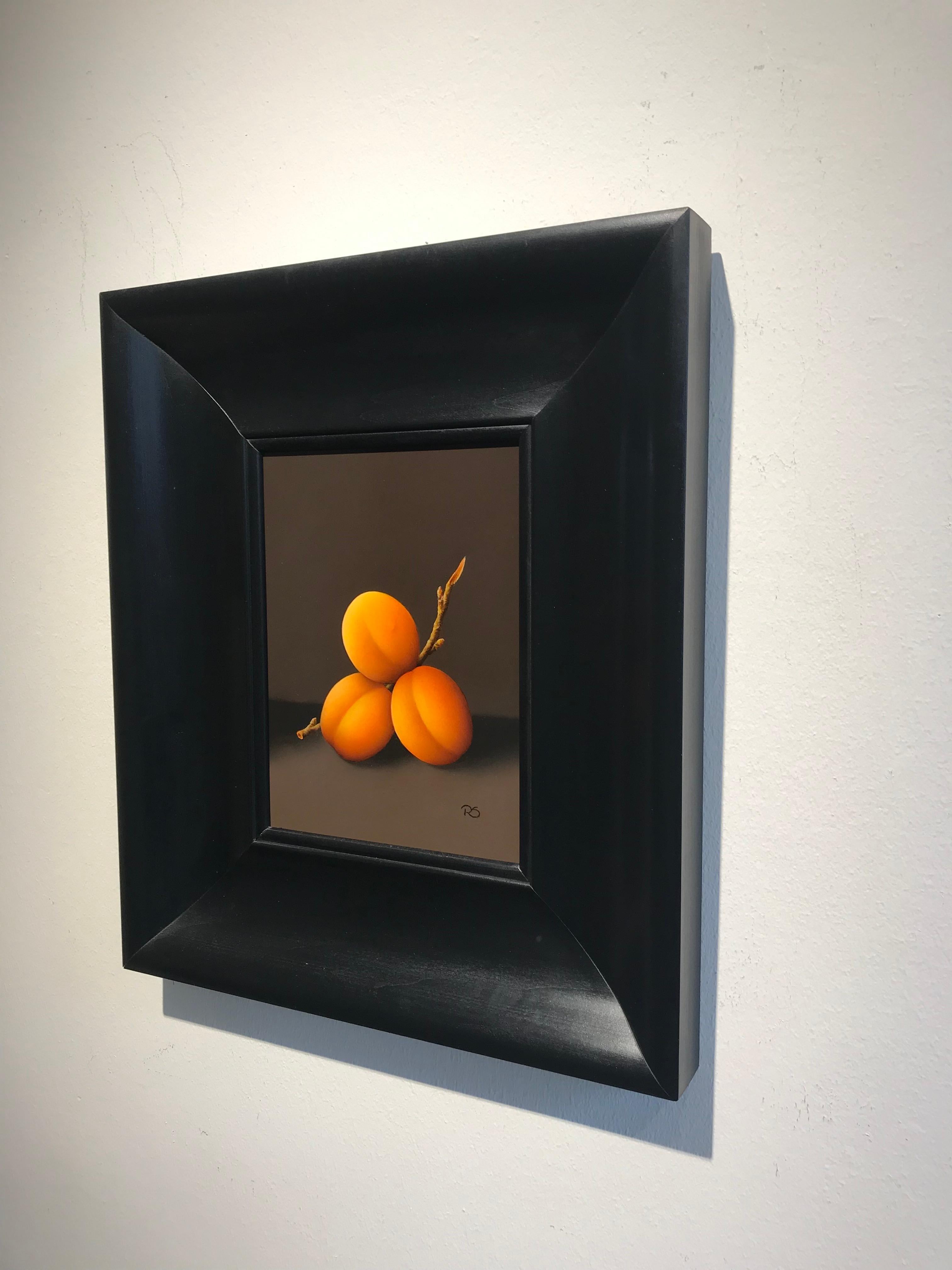 “Apricots” Contemporary Fine Realist Still-Life Painting of Apricots, Fruit 4
