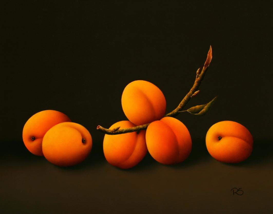 René Smoorenburg  Figurative Painting - “Apricots” Contemporary Fine Realist Still-Life Painting of Apricots, Fruit