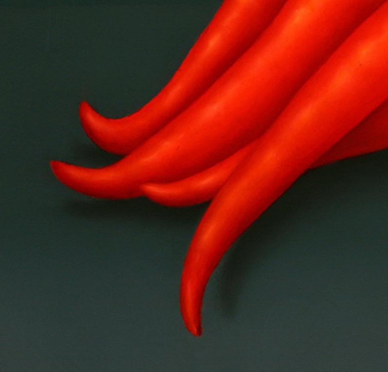 Zeitgenössisches, feines, realistisches Stillleben mit roten Schildkröten, „Red Chillies“ (Realismus), Painting, von René Smoorenburg 
