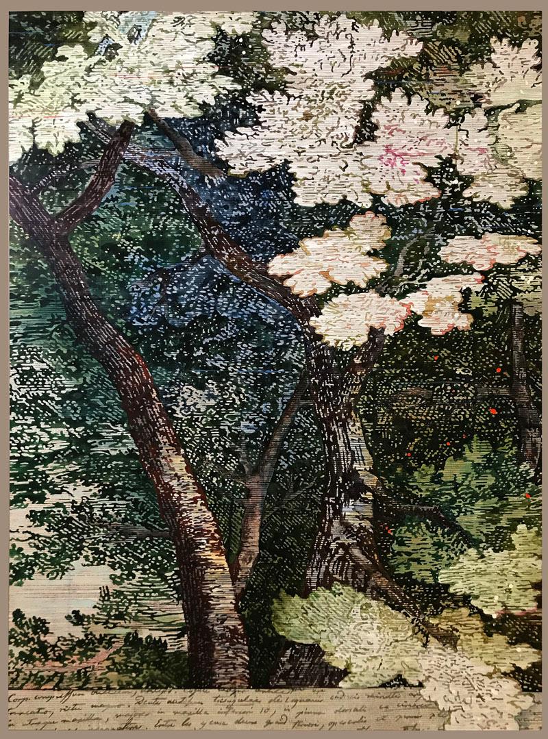 Darwin's Nature - Mixed Media Art by Renee Bott