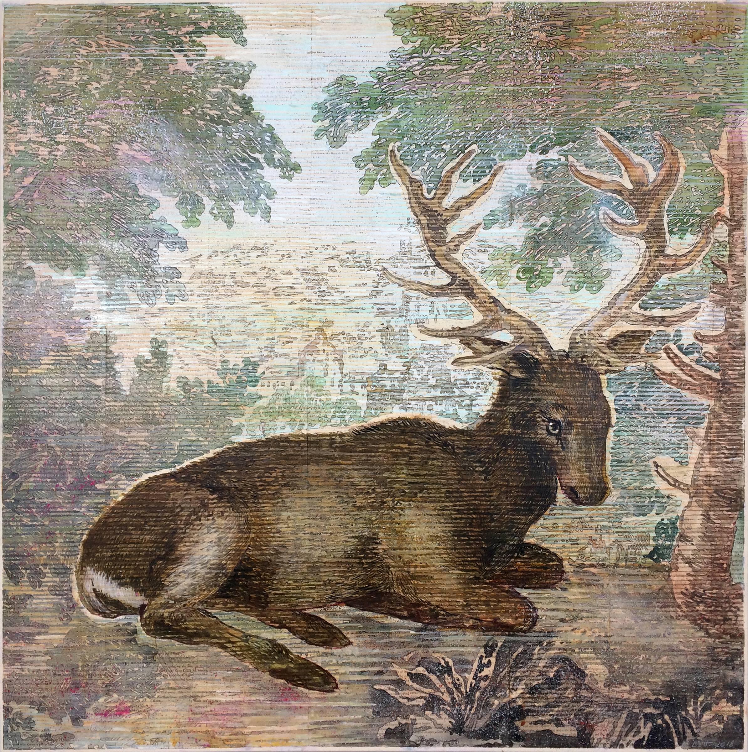Durer's Deer - Mixed Media Art by Renee Bott