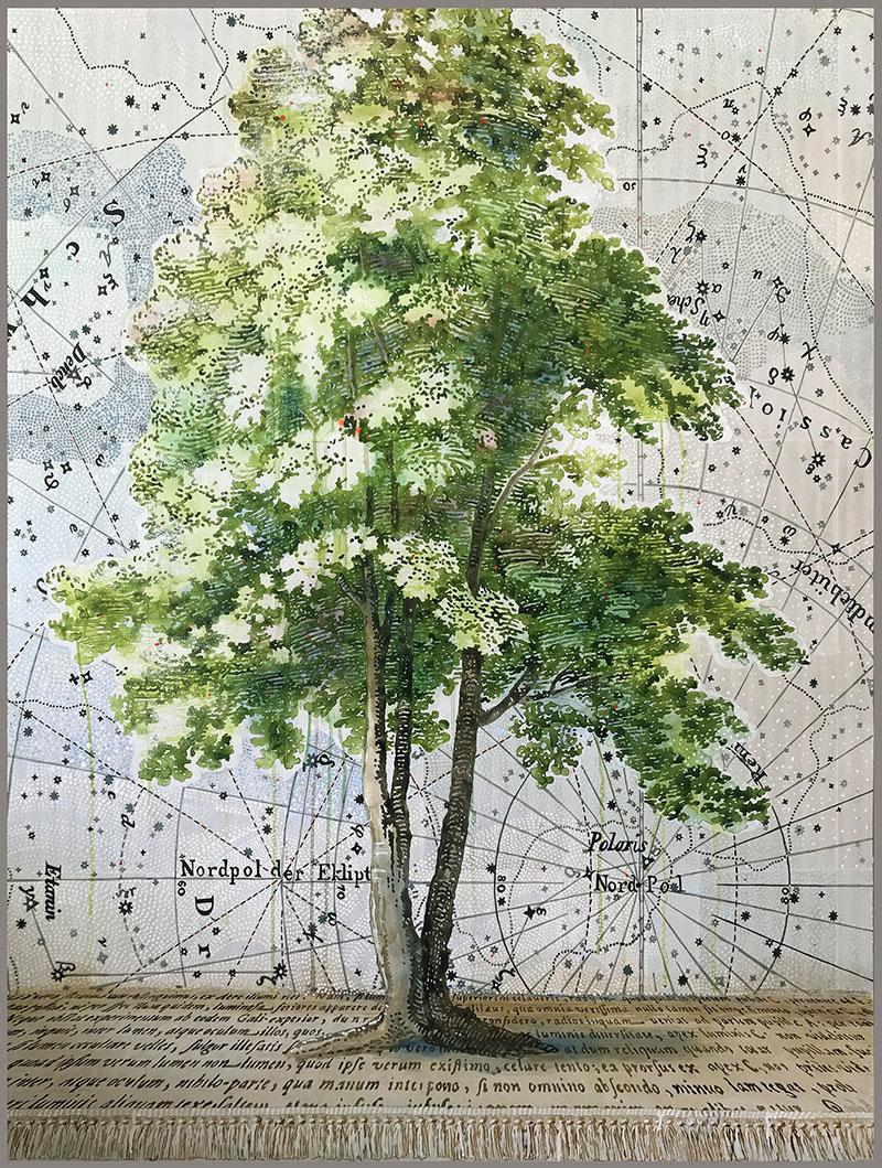 Renee Bott Still-Life Painting - Finding Polaris