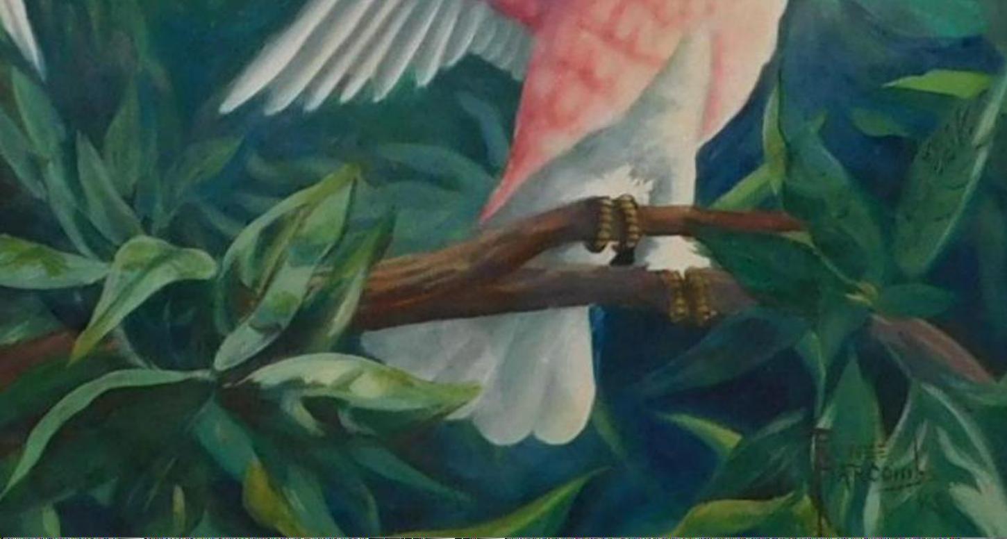 20th Century Renee Harcombe Florida Painting, Circa 1945, Pink Parrots For Sale